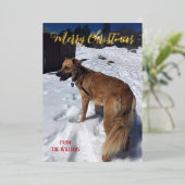 モダンスクリプト シングルドッグ フォト フォイル クリスマスカード 箔シーズンカード (立ち正面)