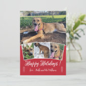 モダンスクリプト ドッグ フォト コラージュ 赤いホリデー カード (スタンド正面)