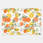 モダンスタイリッシュ水彩柑橘類 ラッピングペーパーシート (正面)