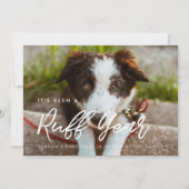 モダンタイポグラフィラフ年犬の写真 シーズンカード (正面)