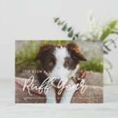 モダンタイポグラフィラフ年犬の写真 シーズンカード (スタンド正面)