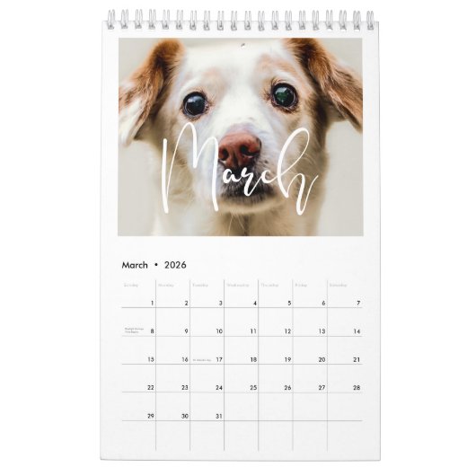 モダンタイポグラフィ2022家族写真 カレンダー (3月 2026)