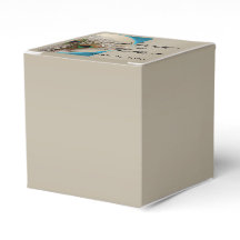 モダンタウペアクアピーコックフェザー結婚式の引き出物ボー