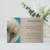 モダンチューペアクアピーコックアコモデーションカード エンクロージャーカード (スタンド正面)