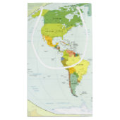 モダンデコレーションのための世界地図政治アトラスポスター スモールペーパーバッグ (裏面)