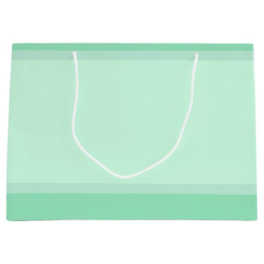 モダントレンディーエレガントテンプレートミントグリーンカラー ラージペーパーバッグ (正面)