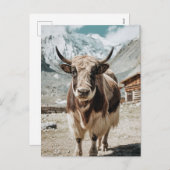 モダントレンディーヤク動物 シーズンポストカード (正面/裏面)