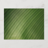 モダントロピッ結婚ク葉詳細 エンクロージャーカード (裏面)