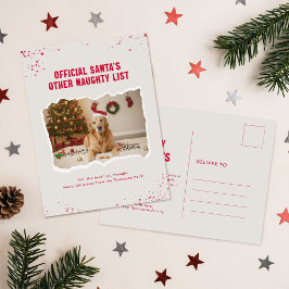 モダンハッピーおもしろ写真 犬 クリスマス ポストカード
