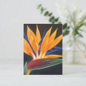 モダンバードオブパラダイス熱帯フローラ絵画ズ ポストカード (スタンド正面)