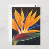 モダンバードオブパラダイス熱帯フローラ絵画ズ ポストカード (正面/裏面)