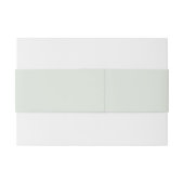 モダンピンクグリーンレトロブお洒落ライト結婚ズ 招待状ベリーバンド (裏面例)