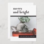 モダンフェスティバルドッグ/フランスのブルドッグ/ペット好き シーズンカード (正面/裏面)