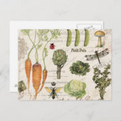 モダンフランスのヴィンテージ菜園 ポストカード (正面/裏面)