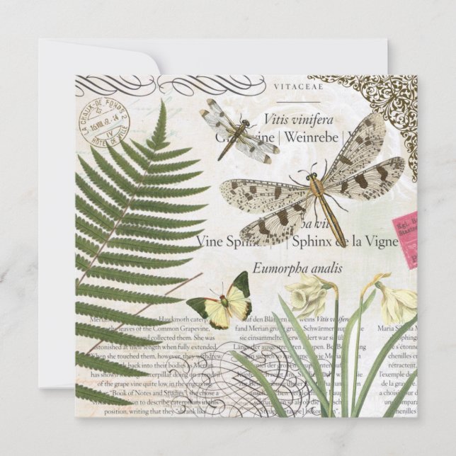 モダンフランスのヴィンテージ (正面)