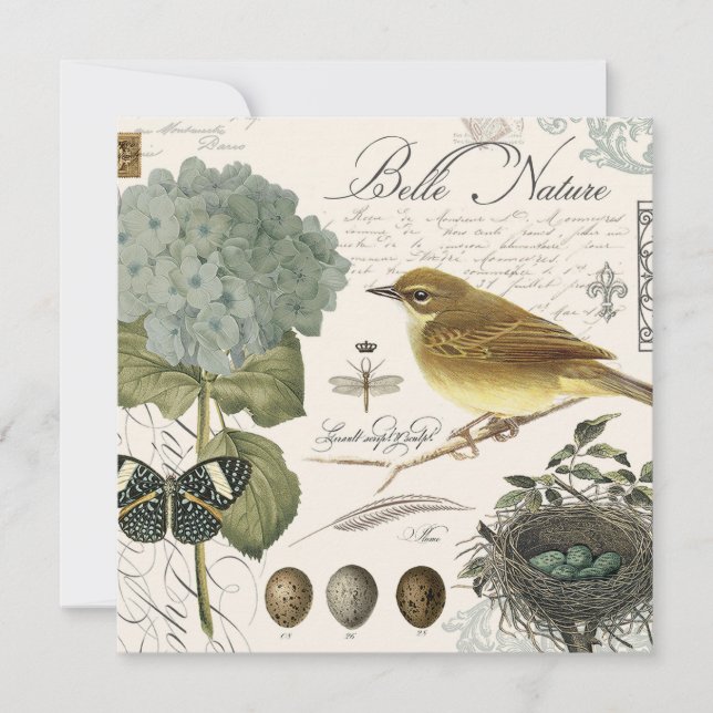 モダンフランスのヴィンテージ (正面)