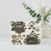 モダンフランスのヴィンテージ ポストカード (スタンド正面)