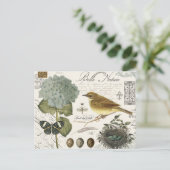 モダンフランスのヴィンテージ ポストカード (スタンド正面)