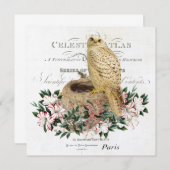 モダンフランスのヴィンテージ 招待状 (正面/裏面)