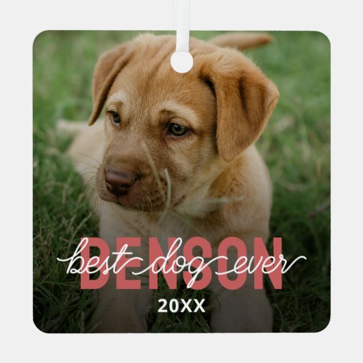 モダンベストドッグエバーペットフォト メタルオーナメント (裏面)