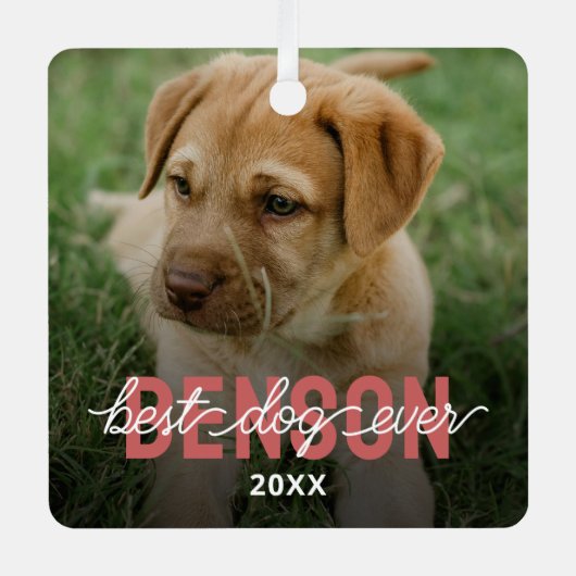 モダンベストドッグエバーペットフォト メタルオーナメント (正面)