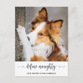 モダンペットの写真を定義おもしろいすいけなる シーズンポストカード (正面)