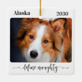 モダンペットの写真を定義おもしろいすいけなる セラミックオーナメント (裏面)