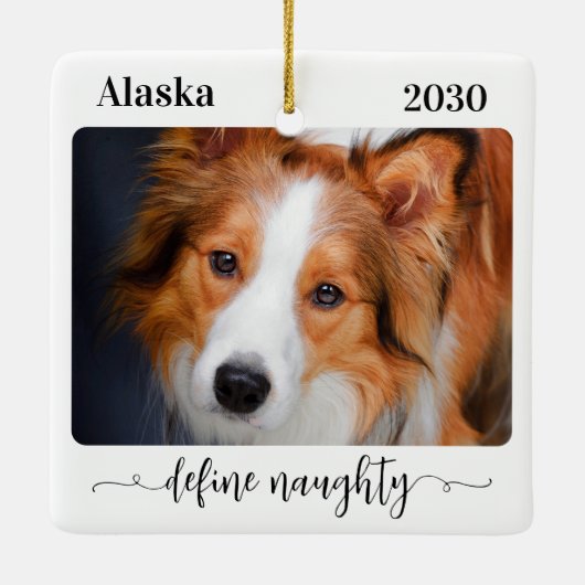 モダンペットの写真を定義おもしろいすいけなる セラミックオーナメント (裏面)