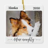 モダンペットの写真を定義おもしろいすいけなる セラミックオーナメント (正面)