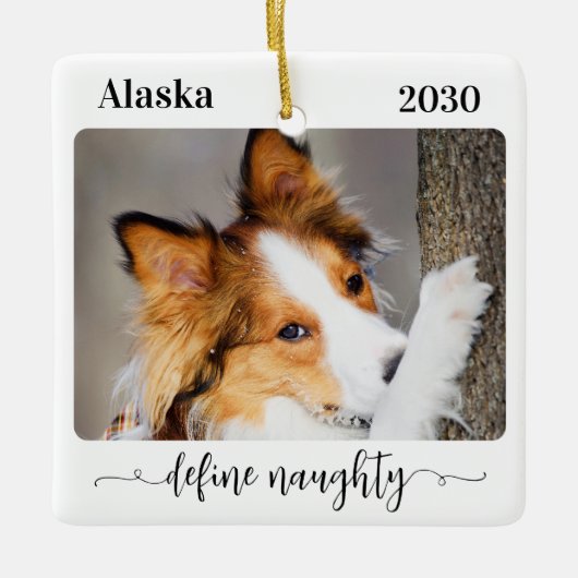 モダンペットの写真を定義おもしろいすいけなる セラミックオーナメント (正面)