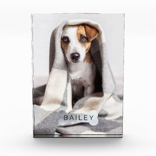 モダンペットフェイクの銀の犬の骨 フォトブロック (正面)