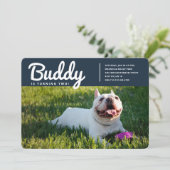 モダンペット犬写真誕生日 招待状 (スタンド正面)