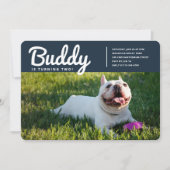 モダンペット犬写真誕生日 招待状 (正面)