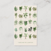 モダンボホグリーンプランツ 植物画 自然 名刺 (正面)