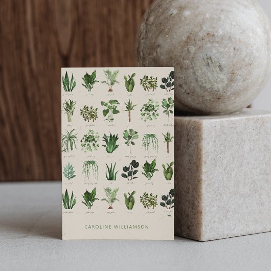 モダンボホグリーンプランツ 植物画 自然 名刺