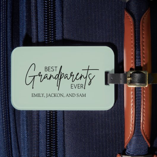 モダンミニマ最高のリスト ラゲッジタグ (正面インサイチュ4)