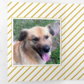 モダンヴィンテージカラーのクリスマス数々の写真 三つ折りクリスマスカード (内部最初)