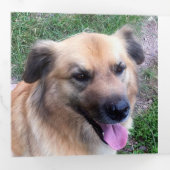 モダンヴィンテージカラーレトロクリスマス4写真 三つ折りクリスマスカード (内部最初)