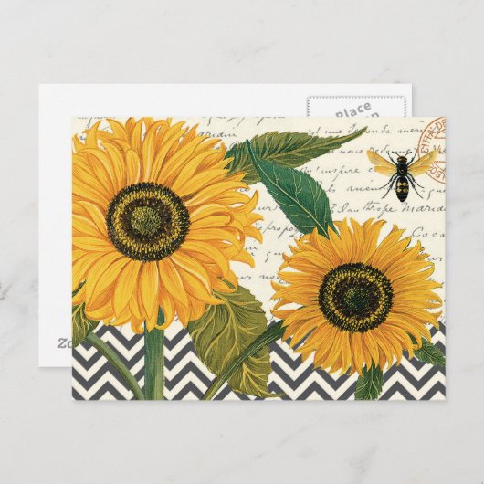 モダンヴィンテージフランスのひまわり ポストカード (正面/裏面)