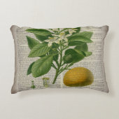 モダンヴィンテージフランスの植物学オレンジ アクセントクッション (正面)