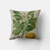 モダンヴィンテージフランスの植物学オレンジ クッション (裏面)