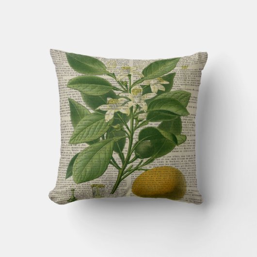 モダンヴィンテージフランスの植物学オレンジ クッション (正面)