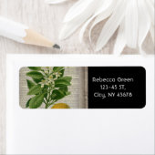 モダンヴィンテージフランスの植物学オレンジ ラベル (インサイチュ)