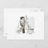 モダンヴィンテージ冬ウッドランド《鳥》アメリカゴガラ ポストカード (正面/裏面)