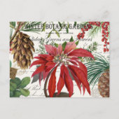 モダンヴィンテージ冬園フローラはがき ポストカード (正面)