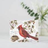 モダンヴィンテージ冬（鳥）ショウジョウコウカンチョウ ポストカード (スタンド正面)