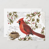 モダンヴィンテージ冬（鳥）ショウジョウコウカンチョウ ポストカード (正面/裏面)