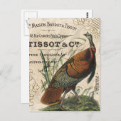 モダンヴィンテージ秋野生の七面鳥 ポストカード (正面/裏面)