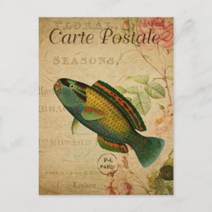 モダンヴィンテージ魚コラージュ絵葉書 ポストカード