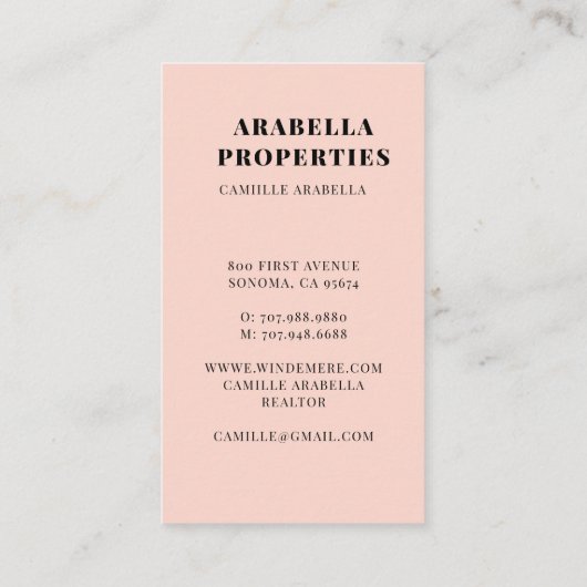 モダン不動産仲介業者実在写真名刺 名刺 (裏面)